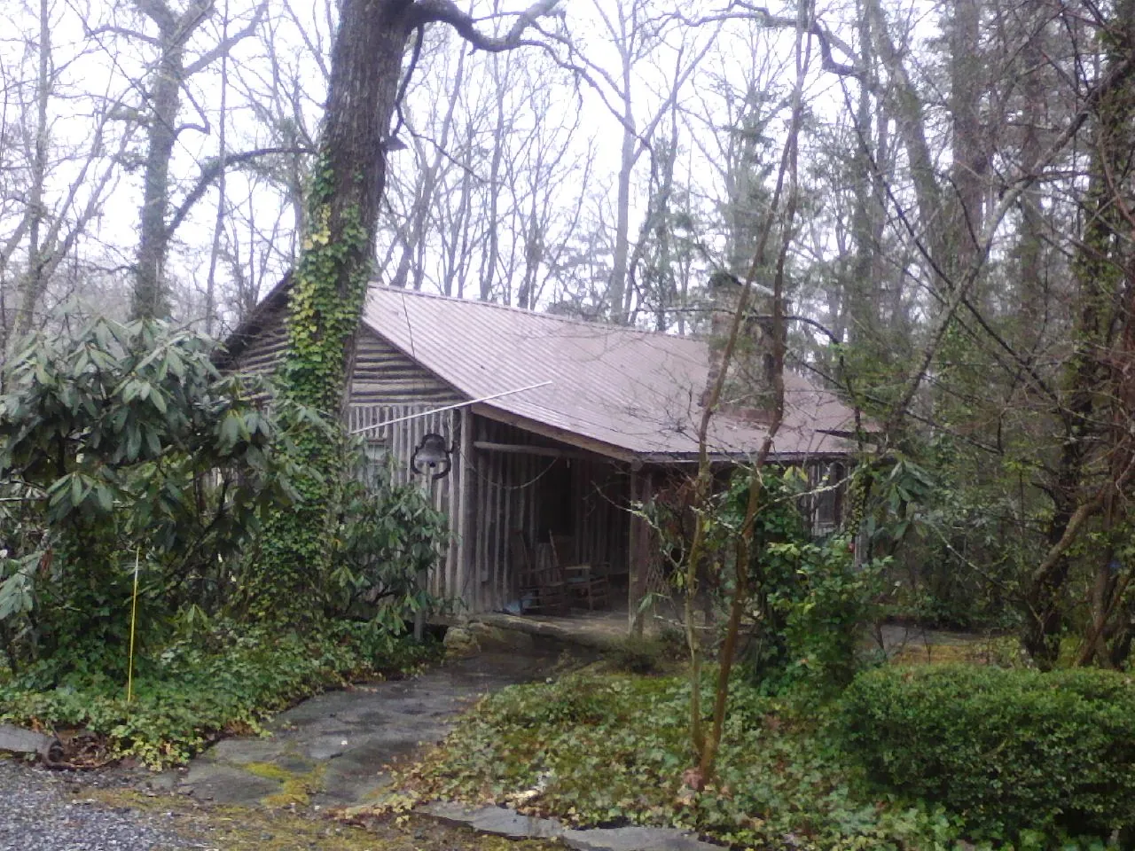 Weathered metal roof on an old board sided cabin in the woods in Standish